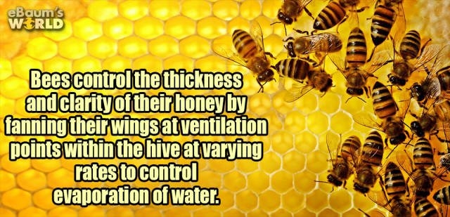 interestingfacts352_003 interestingfacts352_003
