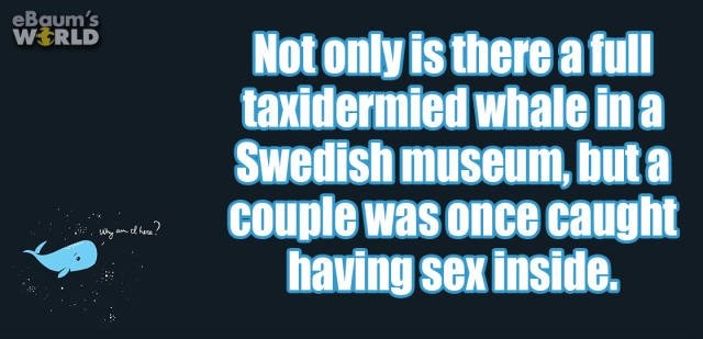 interestingfacts352_004