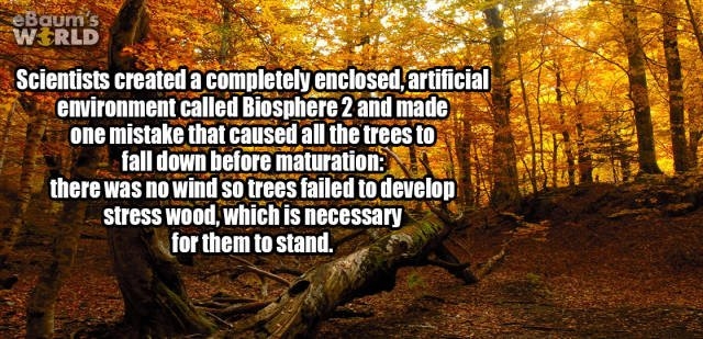 interestingfacts352_005