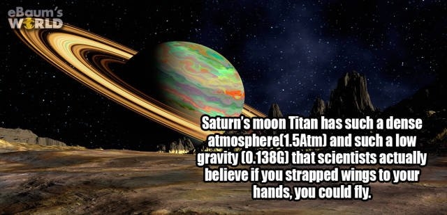 interestingfacts352_006