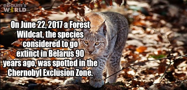 interestingfacts352_007