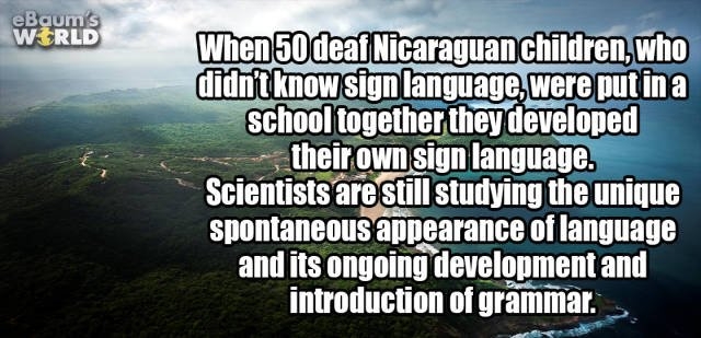 interestingfacts352_017 interestingfacts352_017