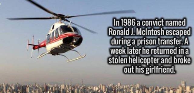 interestingfacts352_020 interestingfacts352_020
