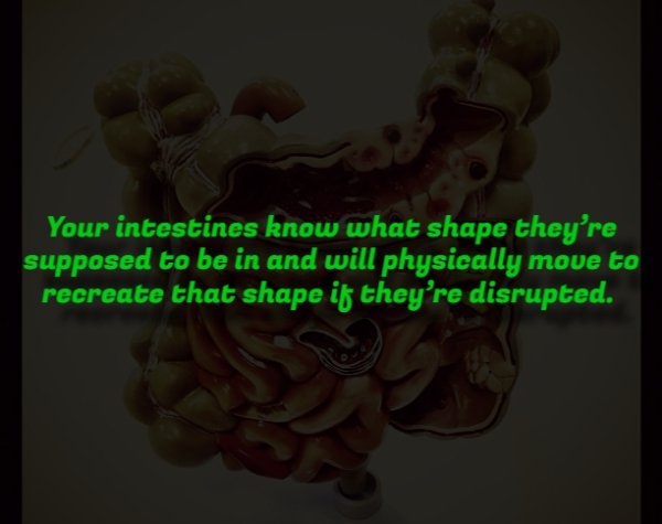 interestingfacts353_001