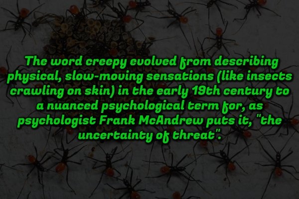 interestingfacts353_003
