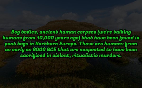 interestingfacts353_012 interestingfacts353_012