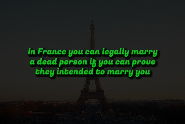interestingfacts353_014 interestingfacts353_014