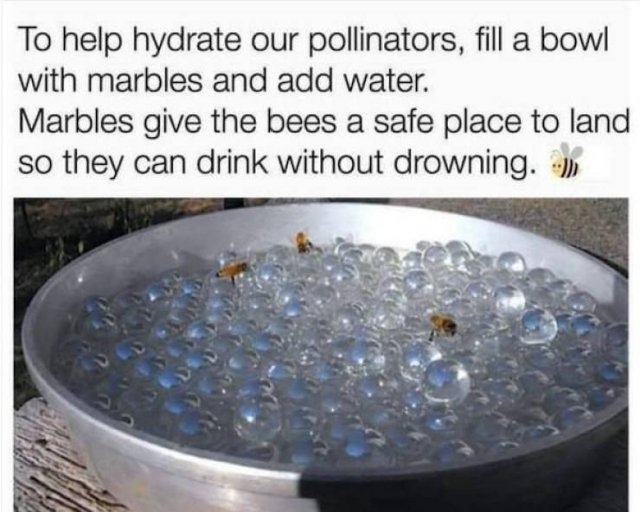 lifehacks56_023