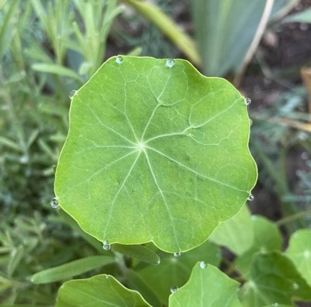 naturephotos33_016