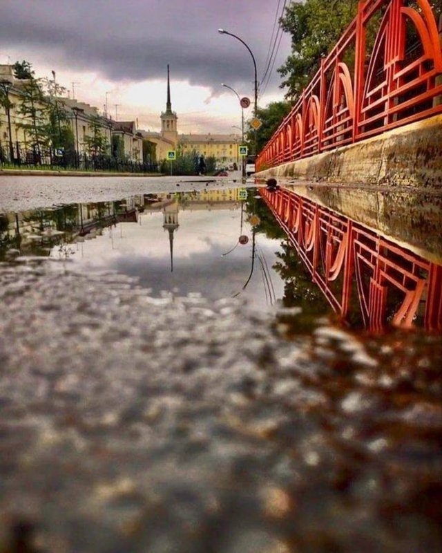 naturephotos33_021