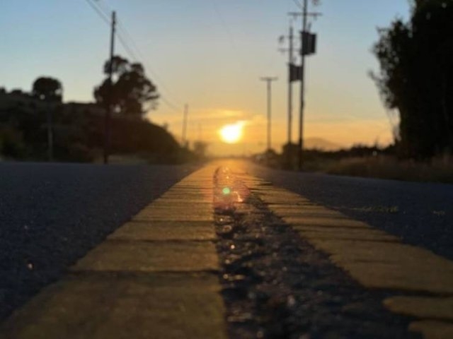 naturephotos33_026