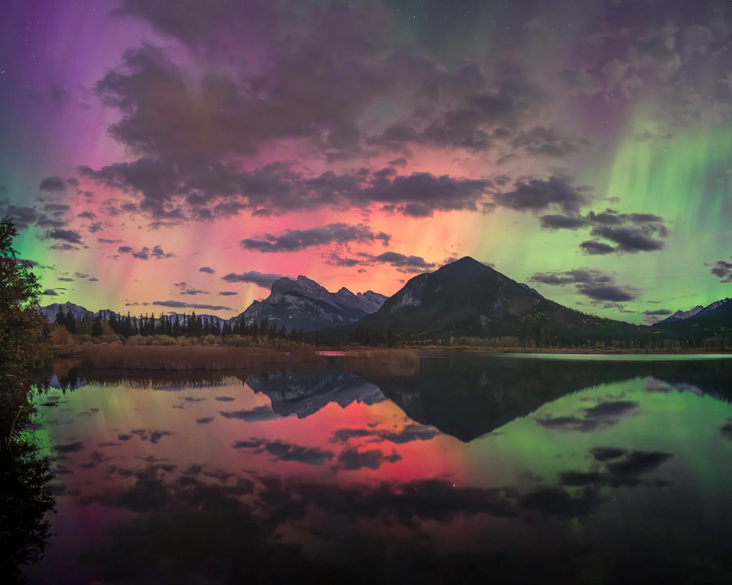 naturephotos33_030
