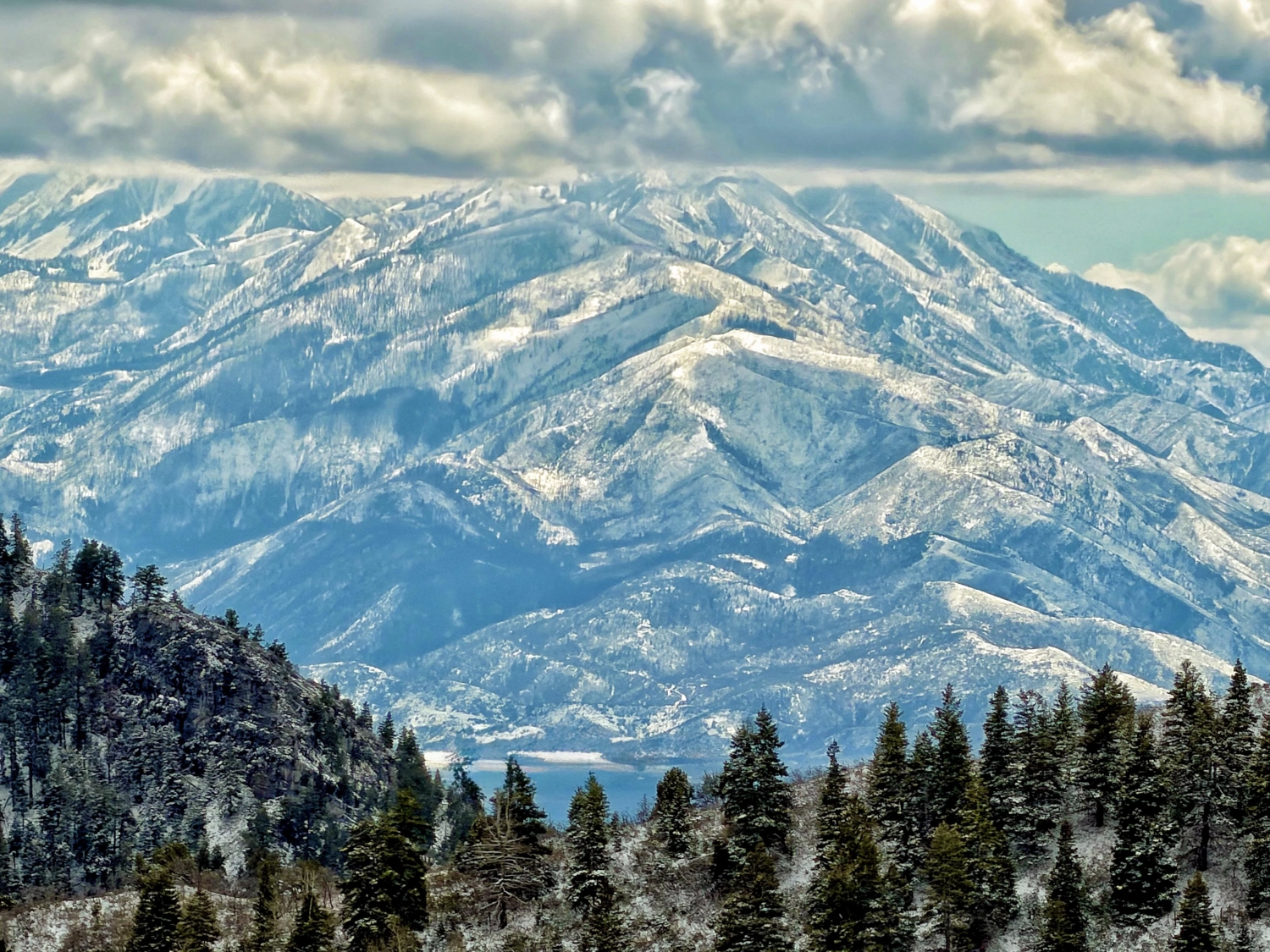 naturephotos33_031