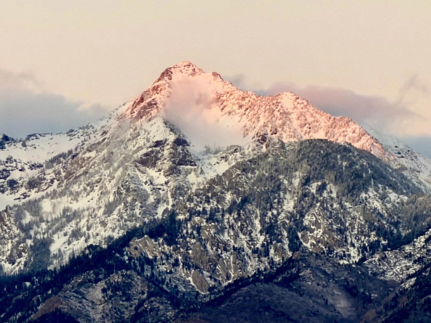 naturephotos33_036