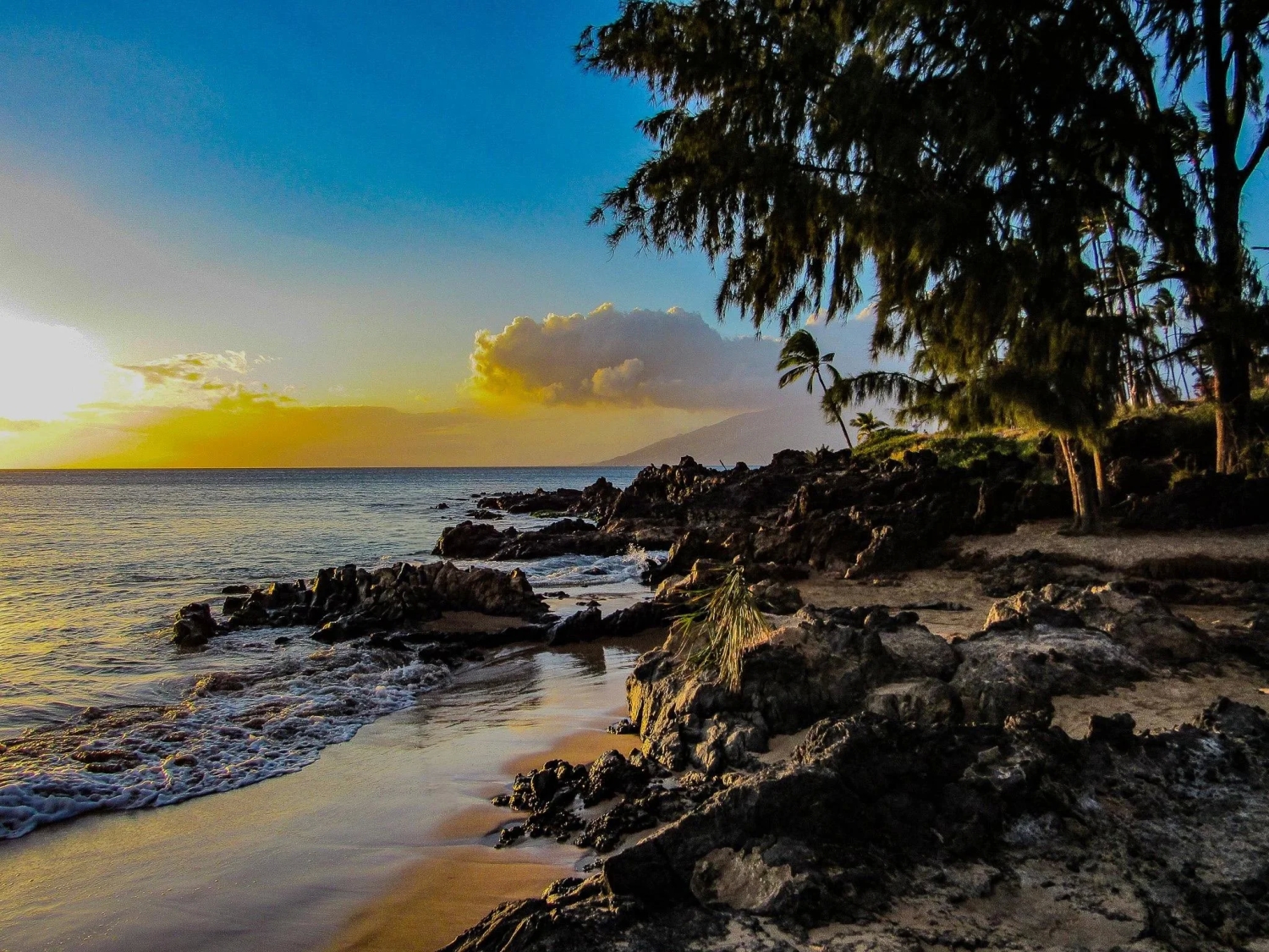 naturephotos33_039