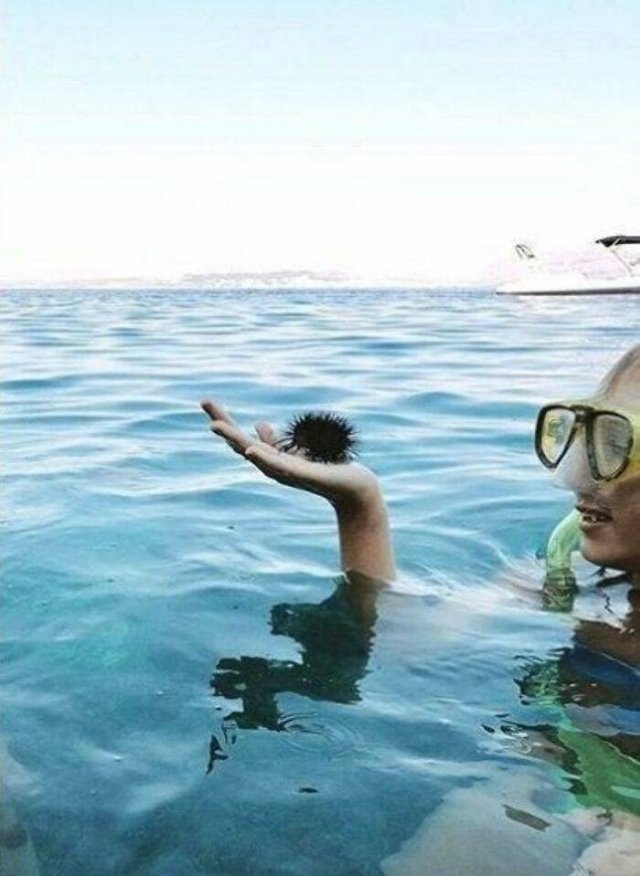 opticalillusions20_036