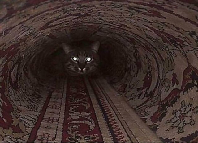 opticalillusions20_037