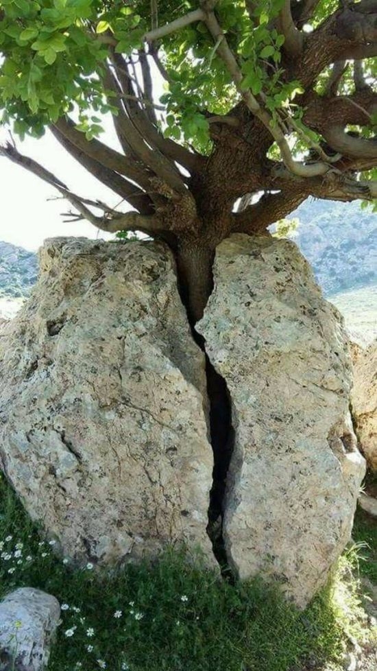 randompics1950_058
