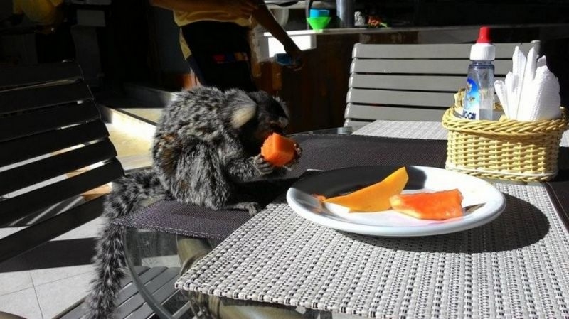 randompics1955_069