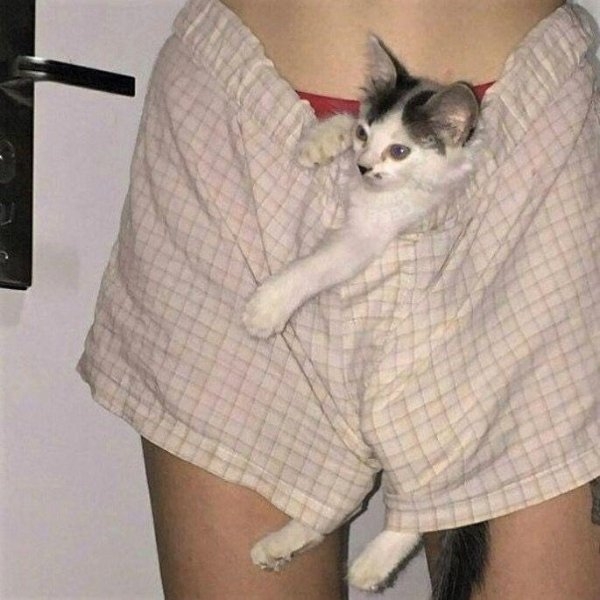 randompics1957_062