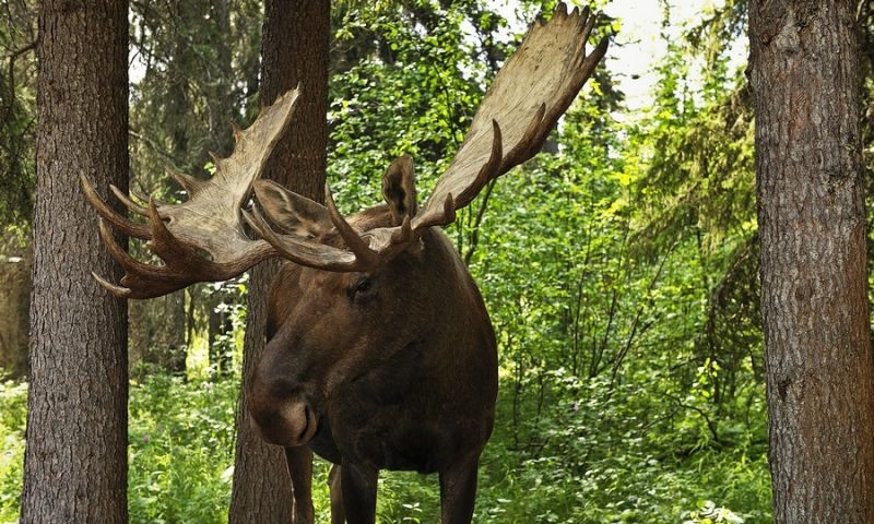 randompics1958_066