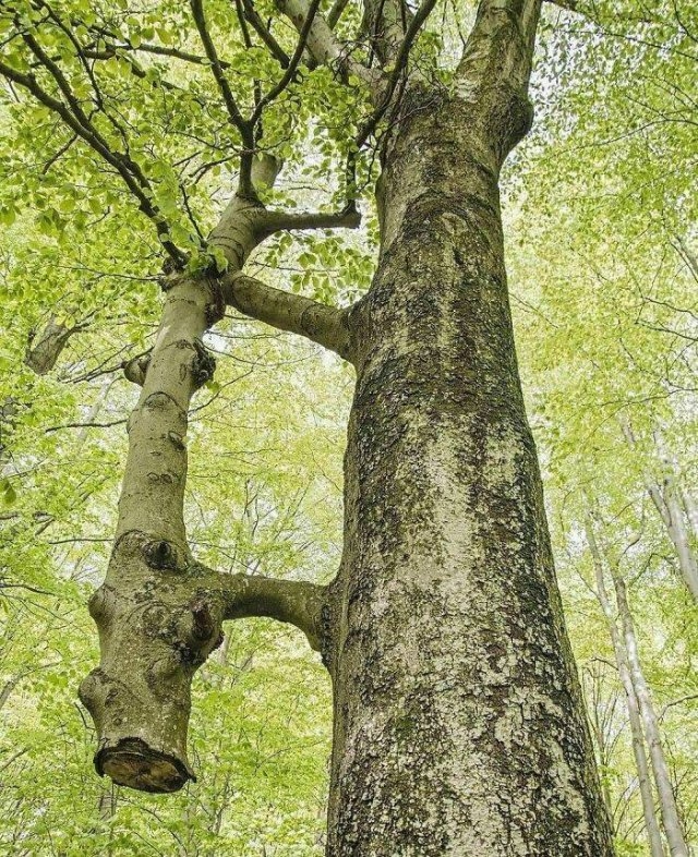 randompics1969_067