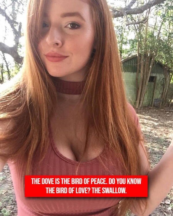 adultmemes12_005
