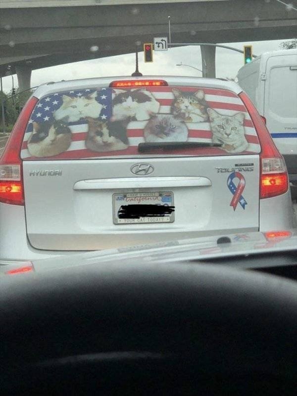 americanmemes4_030