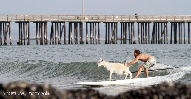 beachfun_011