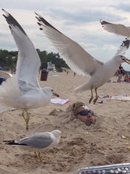 beachfun_015