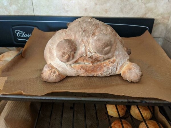 cookingfails4_004