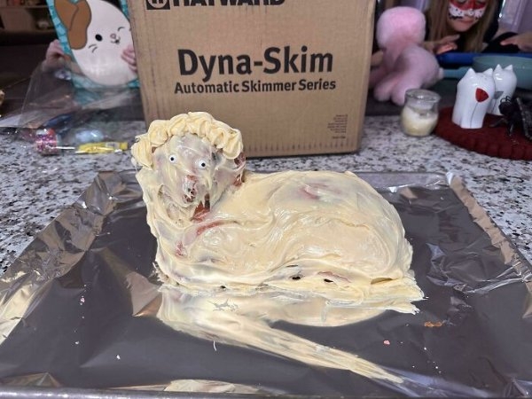 cookingfails4_008