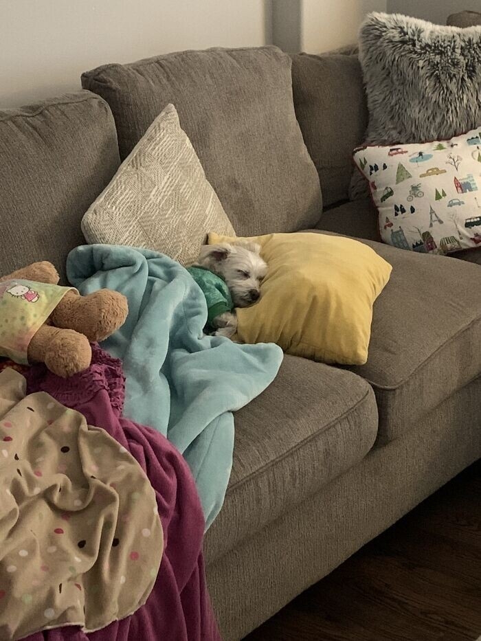 funnyanimals182_007