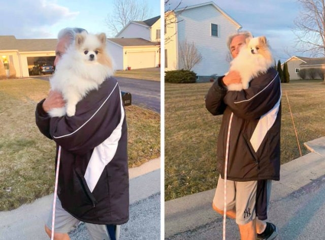 funnyanimals182_030