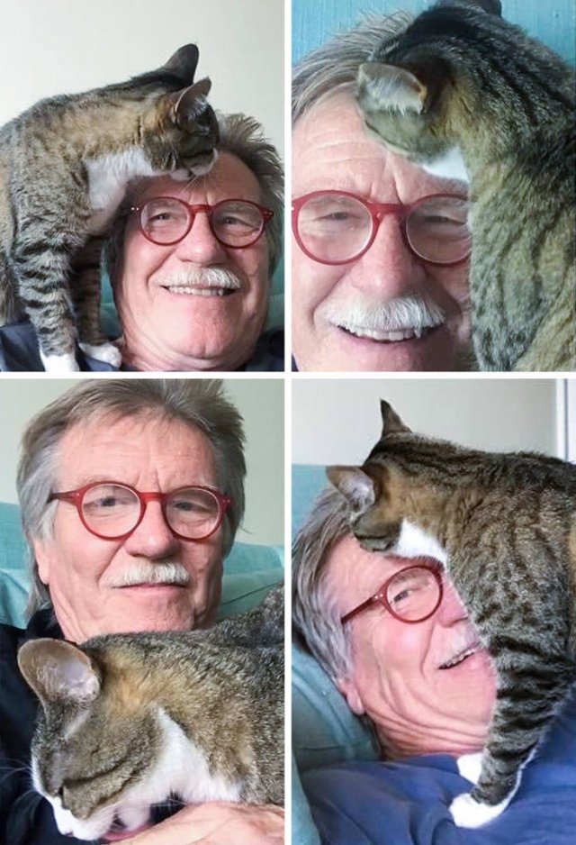 funnyanimals182_040