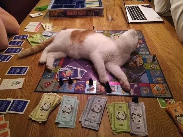 funnyanimals185_025