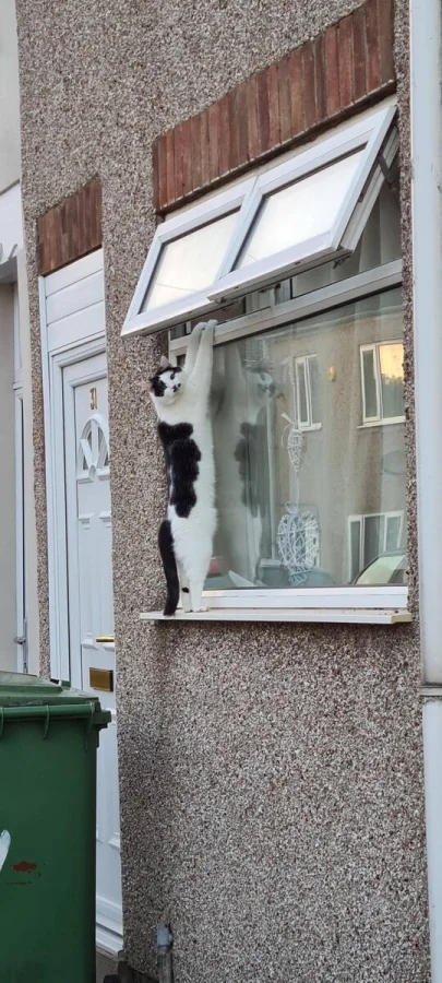 funnyanimals186_005
