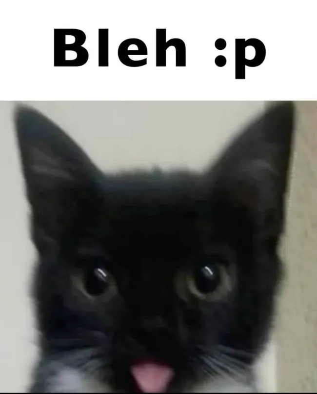 funnycats114_030