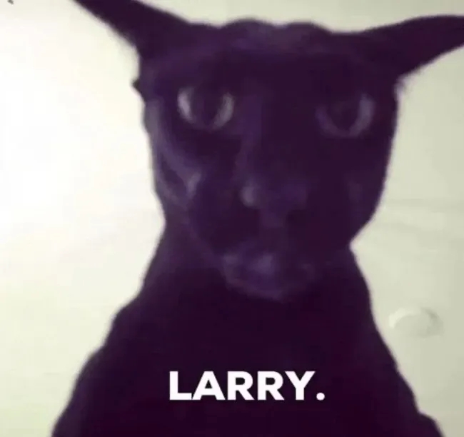 funnycats114_031