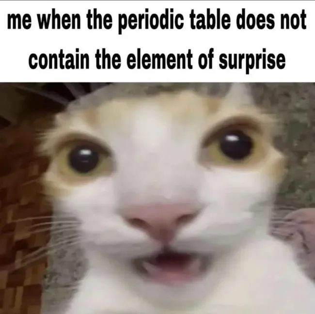 funnycats114_039