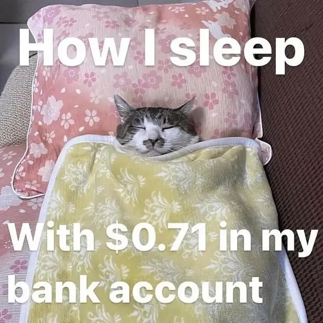 funnycats115_004