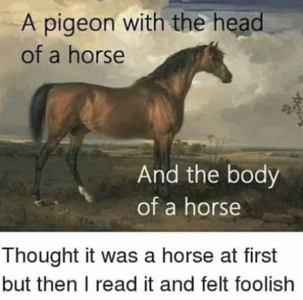 funnyjokes18_020