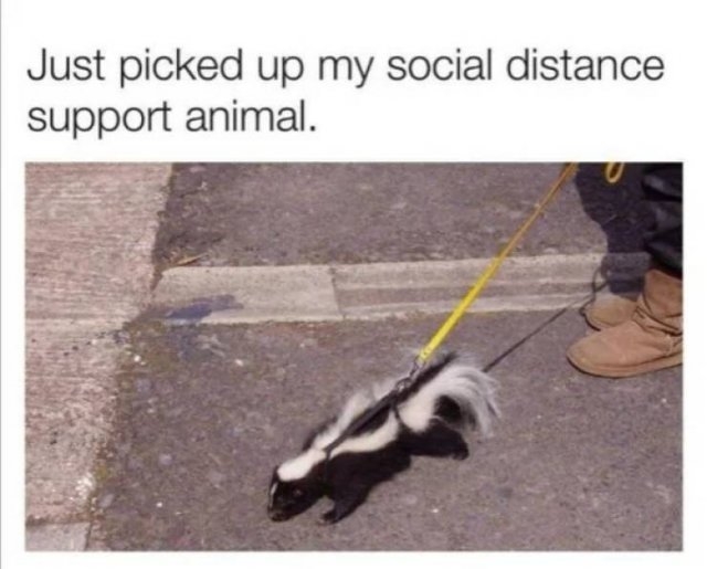 funnyjokes18_022