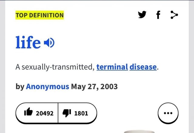 funnymemes504_012