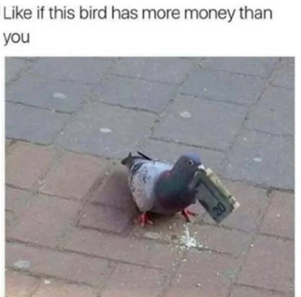 funnymemes509_007