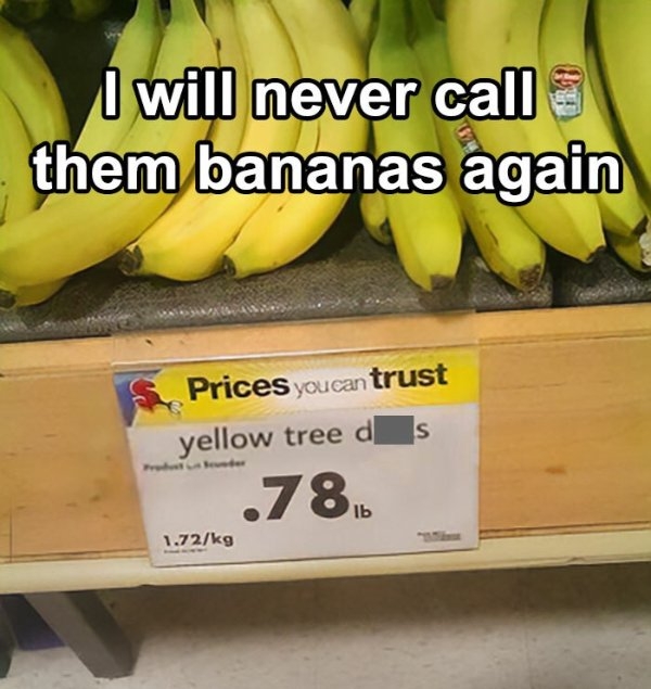 funnymemes509_027