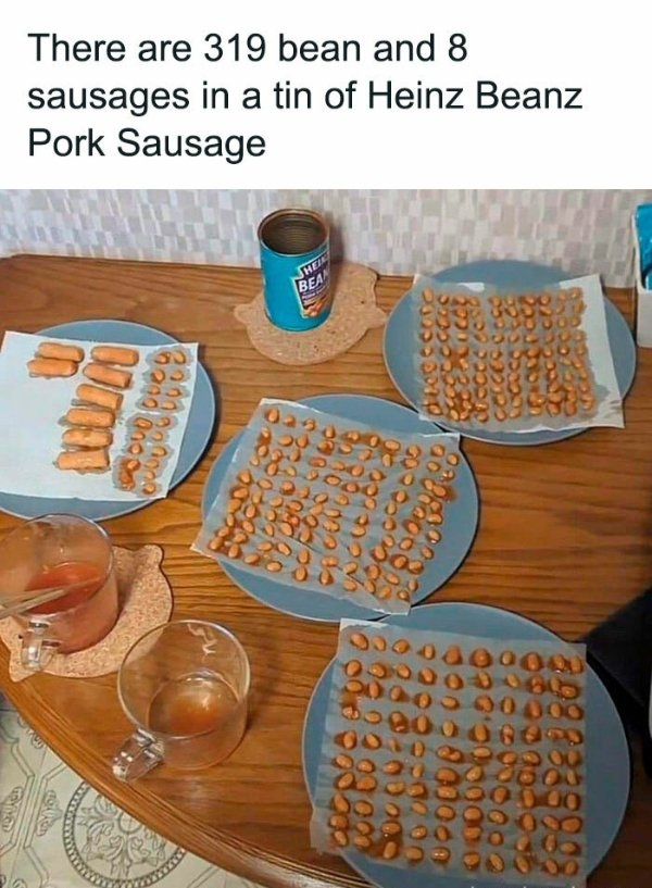 funnymemes510_002