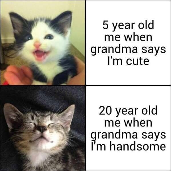 funnymemes510_019