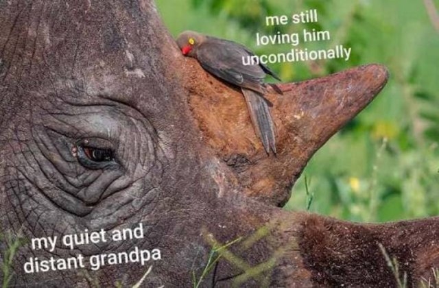 funnymemes510_021