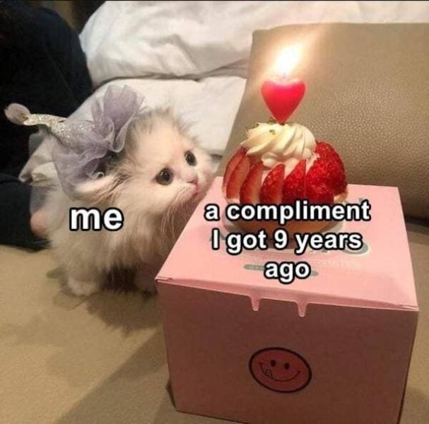 funnymemes510_023